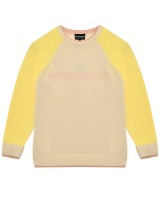 Джемпер в стиле color block Emporio Armani